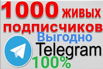 1000 подписчиков на канал или группу Телеграм