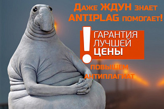 В течение 7 дней обработаю на антиплагиат любое количество файлов