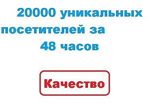 20000 уникальных посетителей за 48 часов