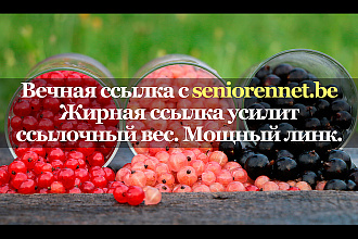 Качественная ссылка с сайта seniorennet. be