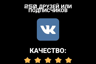 250 подписчиков вконтакте