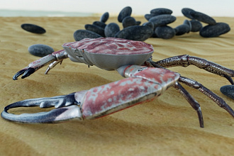 Создам 3D модель