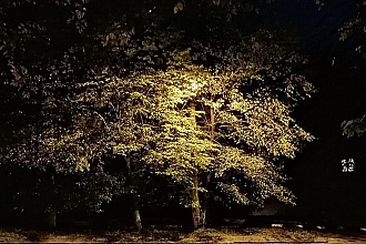 Брошюра буклет