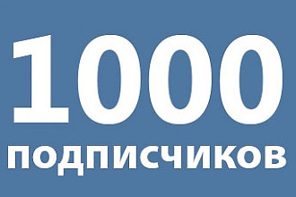 1000 подписчиков Вконтакте