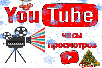 +170 часов просмотров для монетизации