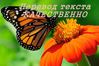 Переведу качественно текст