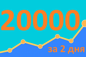 20000 уникальных посетителей на сайт с поисковых систем за 172 часов