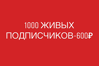 Продвижение в instagram. 1000 живых подписчиков -600 рублей