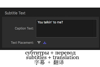 Перевод и субтитрование видео