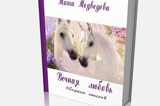 Сделаю 3d обложку для электронной книги