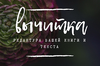 Корректирую и редактирую текст,исправляю ошибки