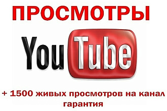 Добавлю 1500 просмотров на ваше видео с удержанием 90%