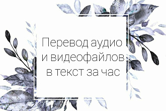 Перевод аудио и видео в текст за час