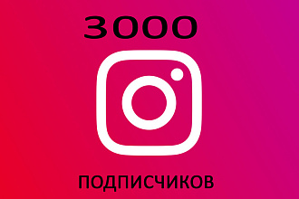 3000 Instagram подписчиков
