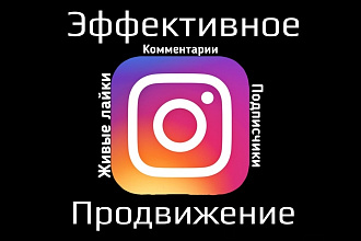 Подписчики в Instagram