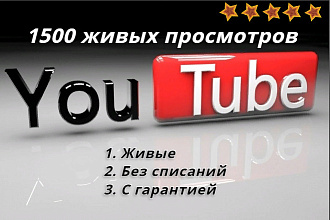 Добавлю 1500 живых просмотров на видео в ютуб