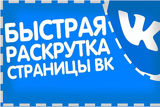 Раскрутка подписчиков в VK Вконтакте +1000 Быстро и качественно