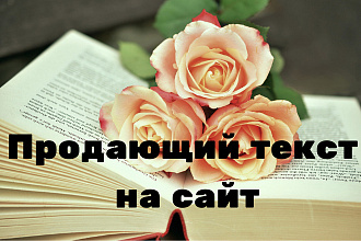 Продающий текст для лендинга