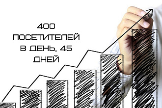 400 посетителей в день, 45 дней на ваш сайт