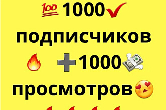 1000 инстаграм подписчиков + 1000 просмотров