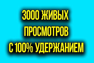 3000 Живых просмотров на YouTube с полным удержанием видео