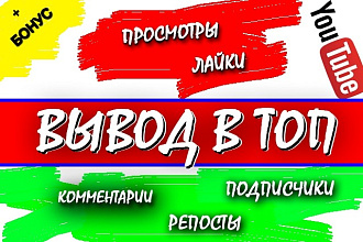 Продвижение в YouTube. Комплекс, вывод в топ по запросам
