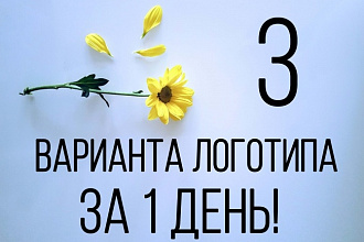 3 варианта логотипа. За 1 день