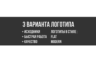 3 Варианта логотипа