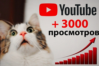 3000 живых просмотров Ютуб с полным удержанием