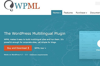 WPML Перевод Мультиязычного плагина для wordpress