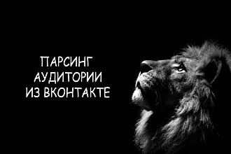 Парсинг и фильтрация целевой аудитории вконтакте