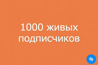 1000 подписчиков shazam раскрутка