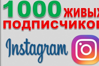 Подписчики в Инстаграм
