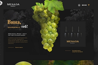 Проработаю дизайн сайта
