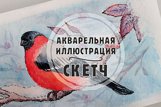 Акварельная иллюстрация. Скетч