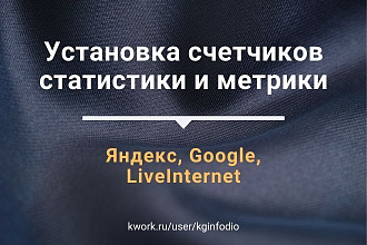 Установлю необходимые счетчики статистики и метрику на вашем сайте