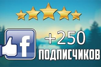 250 подписчиков на паблик FanPage в Фейсбук