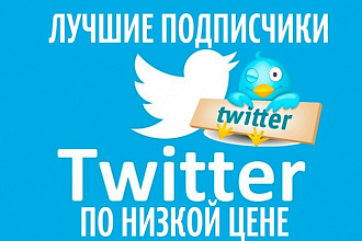 1700 подписчиков в ваш аккаунт Twitter