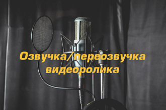 Озвучка и переозвучка видеоролика