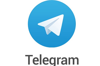 250 человек на Telegram канал