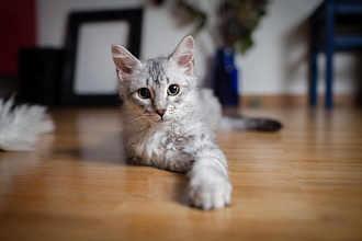 Коррекция ошибок