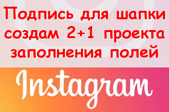 Подпись для шапки в Инстаграм - Создам 2+1 проекта заполнения полей