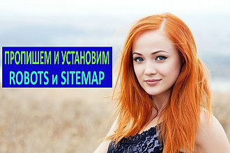 Пропишу Robots.txt и установлю sitemap для вашего сайта
