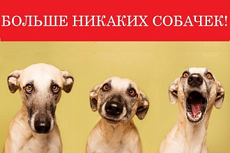 Почищу группу приличной компании от фэйков