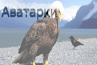 Сделаю крутую аватарку для соц. сетей