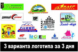 Создам 3 варианта логотипа за 3 дня