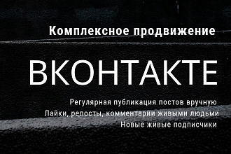 Комплексное продвижение ВК - публикации, подписчики, репосты, лайки