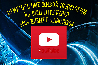 Привлеку живую аудиторию на Ваш ютуб канал