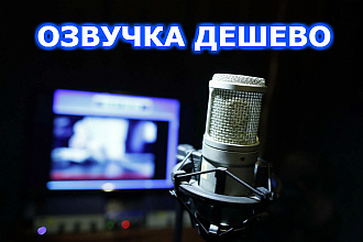 Озвучка , аудиокниг,стихов, приветствий,и другая озвучка текста