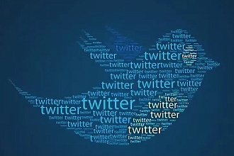 550 живых подписчиков на twitter
